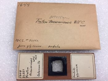 Media type: image; Malacology 32551 Description: 32551_Fretum_sororum_microscope _slide_1644;